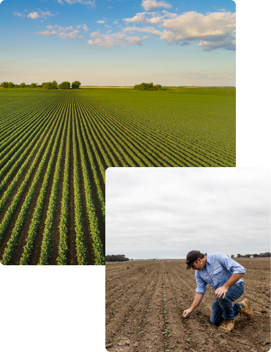 about us paddocks